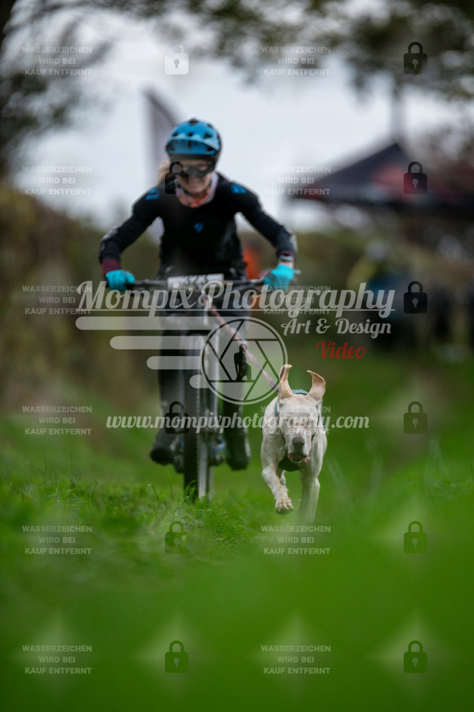 TSB_2023_E8_Bike-40 | PayLife