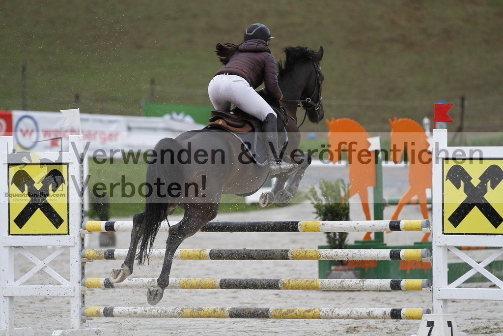 _MG_1258 | equestrian-live-com