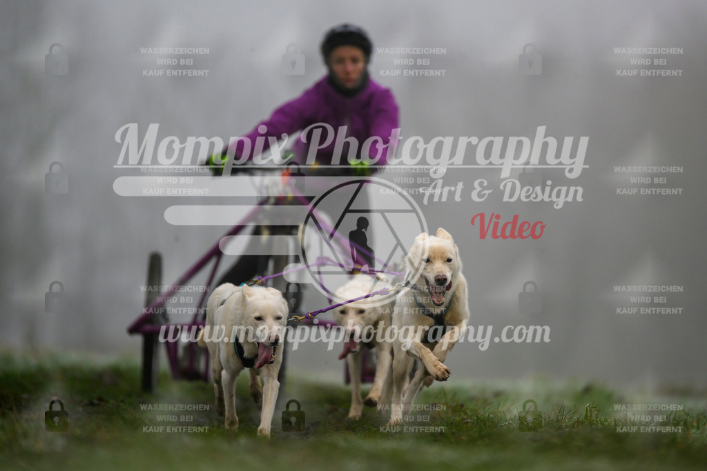MompixPhotography_CDF2023_FFST_Di_Kart-29 | PayLife