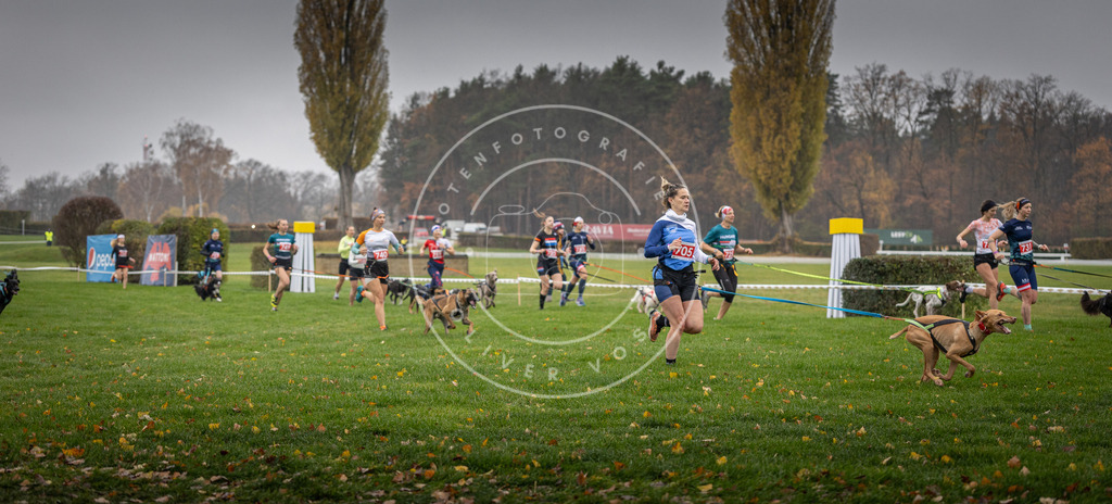 CaniXpix_DV3A8844 | Hundefotografie, Tierfotograf, Pfotenfotografie, Fotoshooting Hund, Hunde Portrait, Hundesport, Hundeportraits, Heideshooting, Hunde, Sportfotograf, Hundefotograf, Turnierhundsport, THS,  - Realisiert mit Pictrs.com