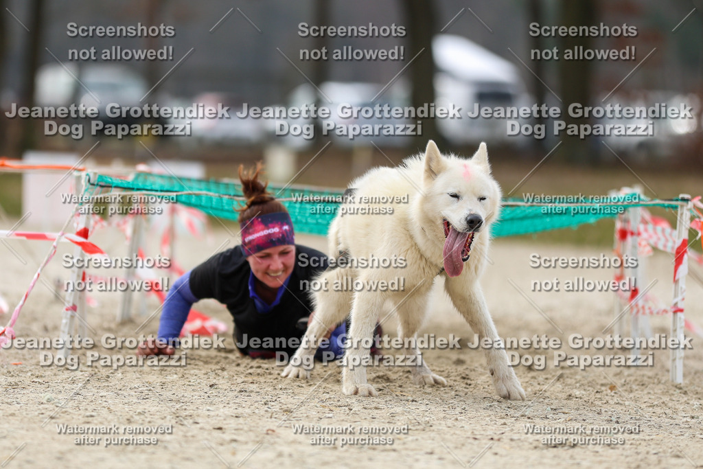 Dog Paparazzi - Strongdog North Mrz26-5744 | Dog Paparazzi Jeanette Grottendiek Fotografie & Videografie - Realisiert mit Pictrs.com