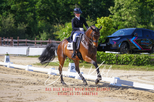 DKP42652 | Turniersportfotografie; Pferdefotografie; Dressurfotografie