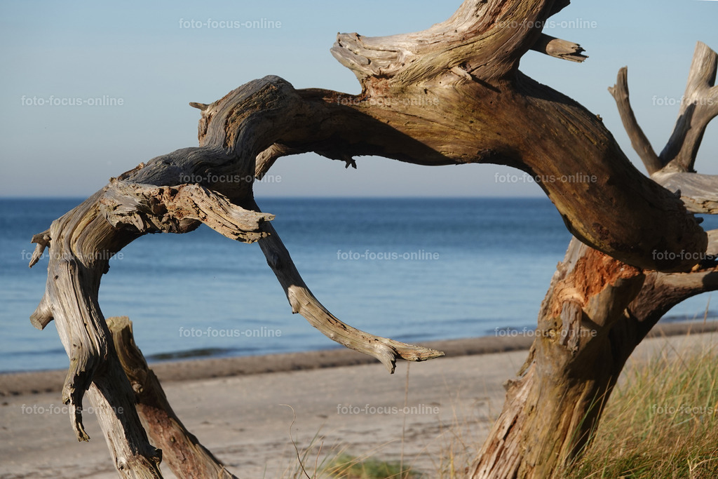 53 | foto-focus-online