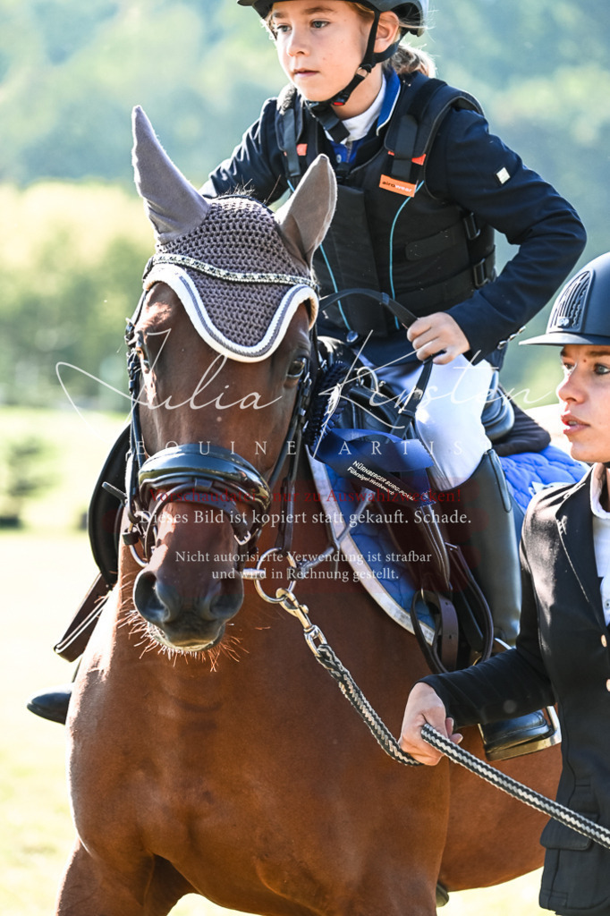 DSC_0529 | Pferde- und Turnierfotografie in Westsachsen. Pferdeportraits, Auftragszeichnungen und intuitive Kunst.