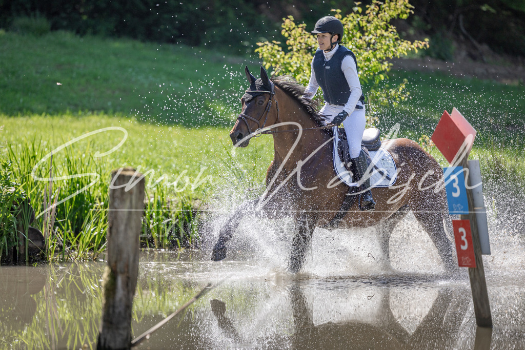 20260523-_3LI7396 | Tierfotografie Pferde, Hunde, Katzen, Haustiere.
Turnierfotografie Reitturniere, Reiten, Springreiten, Dressur in Hanau, dem Main-Kinzig-Kreis und dem Rhein-Main- Gebiet um Frankfurt