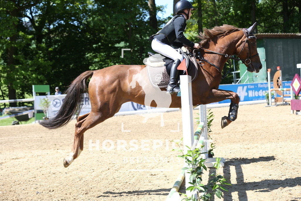 DL2Q0869 | Willkommen bei Brunnmayr - Design & Fotografie – Ihrem Spezialisten für Reitturniere und Pferdeveranstaltungen in Oberösterreich, Salzburg und Bayern! Seit über 17 Jahren sind wir leidenschaftlich dabei.