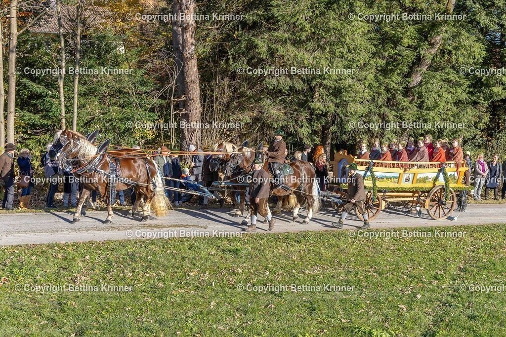 LBT25-424 | foto-bettina-krinner - Realisiert mit Pictrs.com