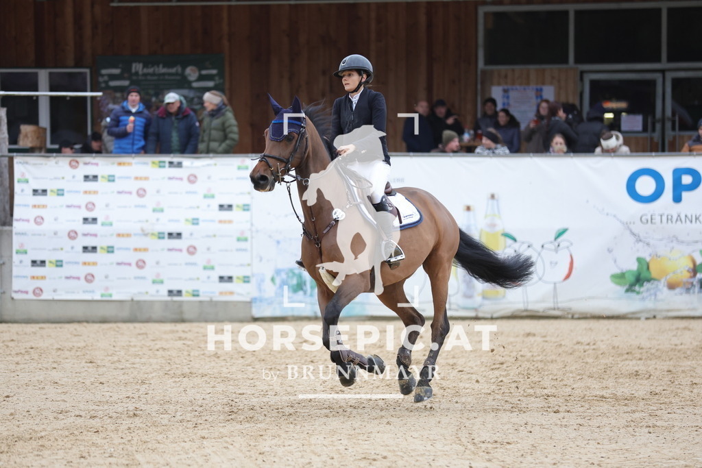 0P6A4498 | Willkommen bei Brunnmayr - Design & Fotografie – Ihrem Spezialisten für Reitturniere und Pferdeveranstaltungen in Oberösterreich, Salzburg und Bayern! Seit über 17 Jahren sind wir leidenschaftlich dabei.