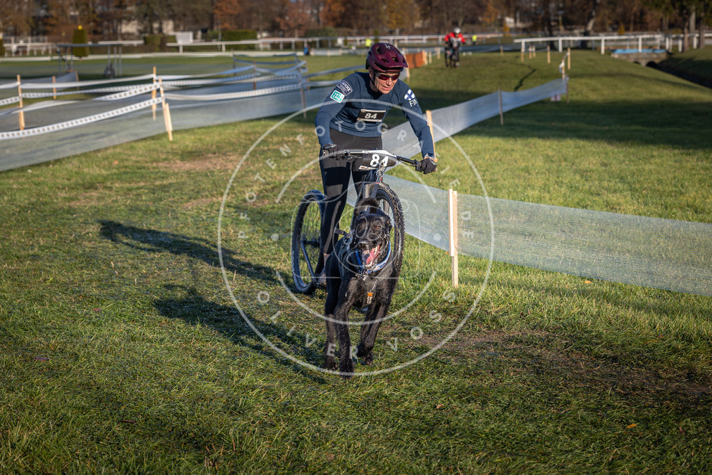 CaniXpix_0L8A3774 | Hundefotografie, Tierfotograf, Pfotenfotografie, Fotoshooting Hund, Hunde Portrait, Hundesport, Hundeportraits, Heideshooting, Hunde, Sportfotograf, Hundefotograf, Turnierhundsport, THS,  - Realisiert mit Pictrs.com