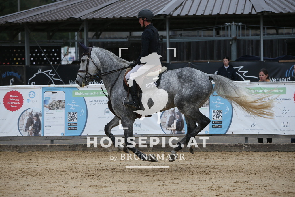 PP013338 | Willkommen bei Brunnmayr - Design & Fotografie – Ihrem Spezialisten für Reitturniere und Pferdeveranstaltungen in Oberösterreich, Salzburg und Bayern! Seit über 17 Jahren sind wir leidenschaftlich dabei.