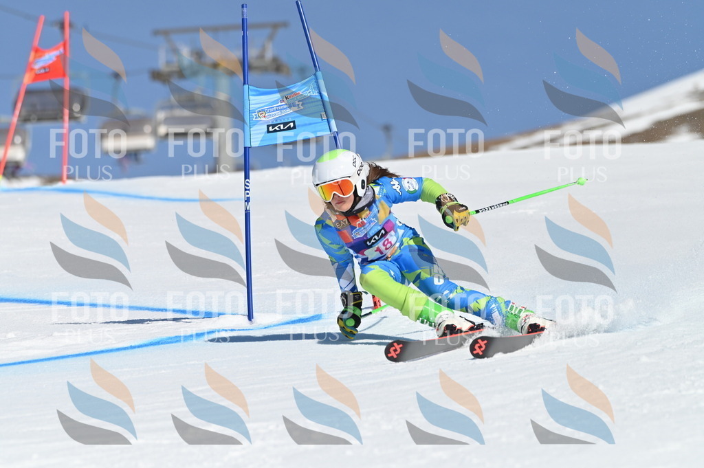 BGV_7917 | holidayphoto