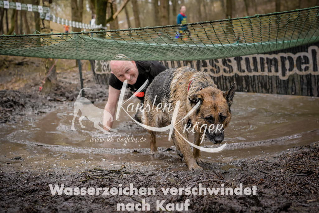 0916_ZZ97071 | kk-dogfotos