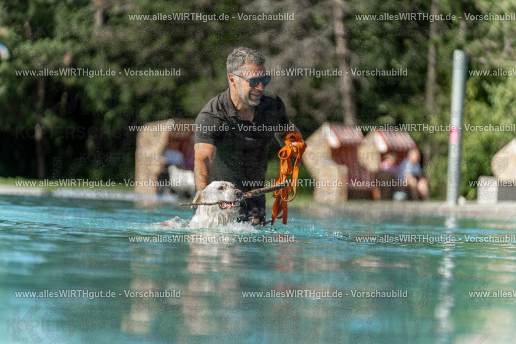 Hundeschwimmen_Volksbad_2026-allesWIRTHgut_Tierfotografie-2609061545-7R501784 | Professionelle Tierfotografie in Mönchengladbach von Daniel Wirth (allesWIRTHgut). Liebevolle & natürliche Bilder von Hunden & Katzen für unvergessliche Erinnerungen.