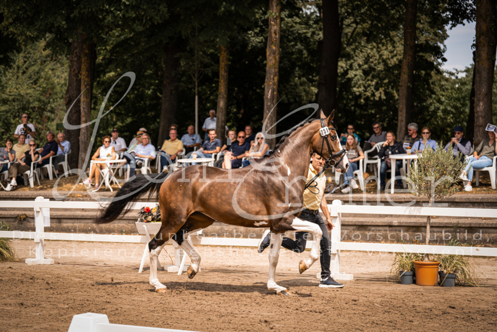 2. Fr00166 | Leoni Ertmer Photography - Realisiert mit Pictrs.com