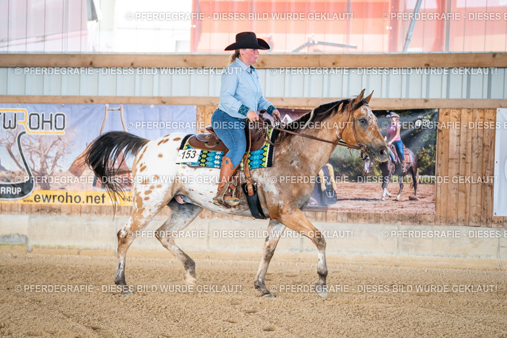 DSC02085 | Pferdegrafie