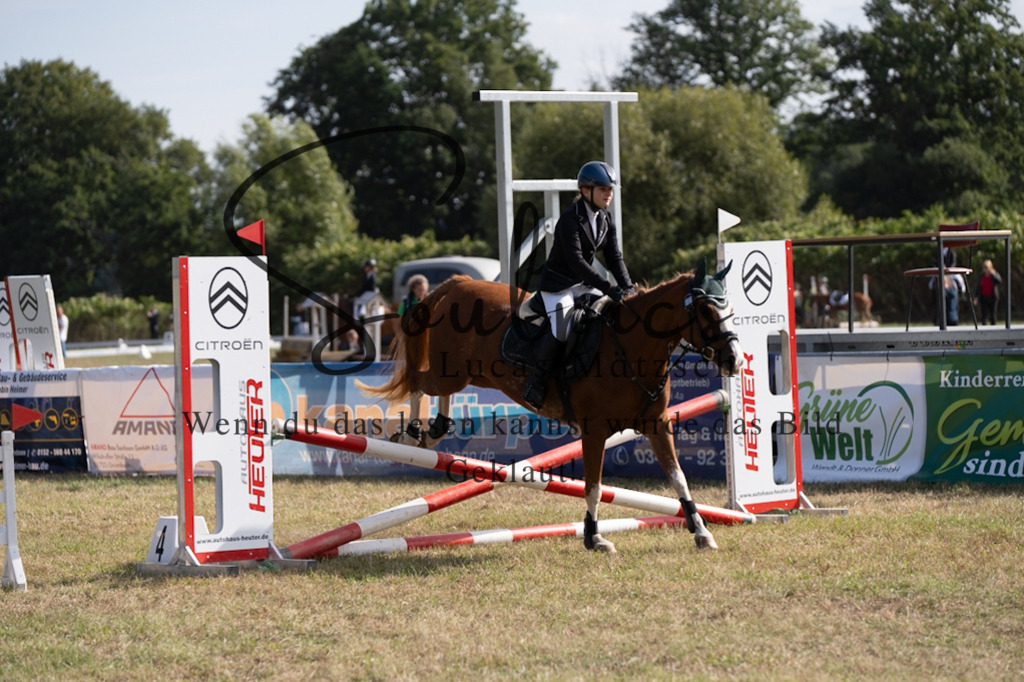 A7V08475 | Pferdefotograf