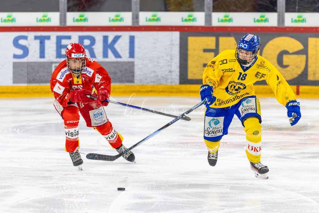 EHCB vs HCD 20262703-439516672 | Sportbilder, Sportfotograf, Hochzeits- und Eventfotografin, Flugshows, Portraits und Tiershooting, Aviation, Downhill, Nationalleague, Swissleague, International