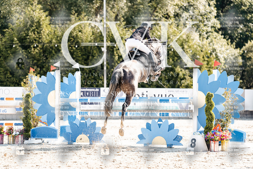 CK902602 | Turnierfotografie Pferdefotografie Trier Rheinland-Pfalz Pferdesport Reitsport Tierfotografie Sportfotografie Pferdevideo Pferdevideografie Equestrianvideography equestrianphotography  - Realisiert mit Pictrs.com
