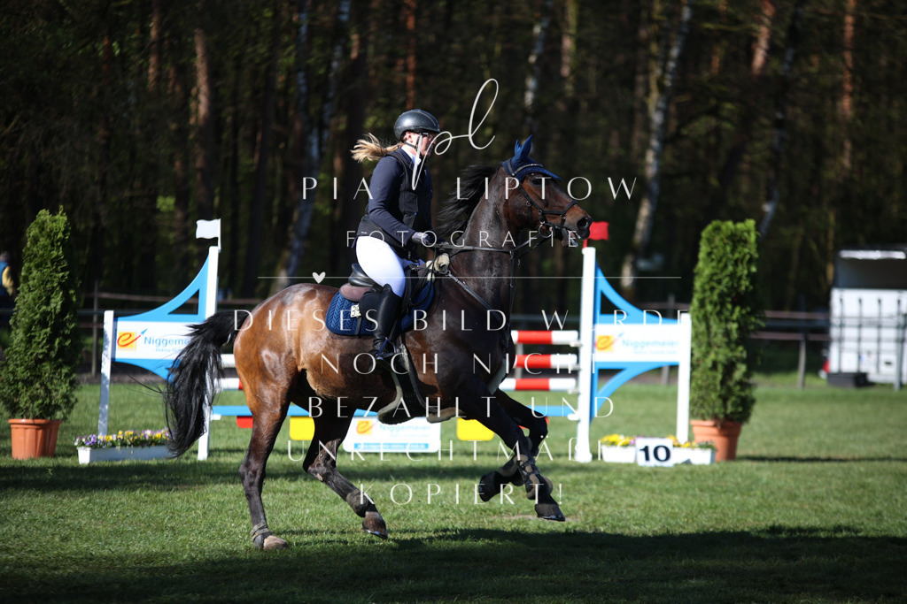 IMGT0117 | pl-fotografie