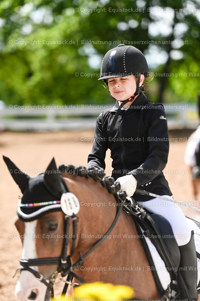 20230716_10-3_Reiter-WB Schritt - Trab - Galopp_0033 | equistock