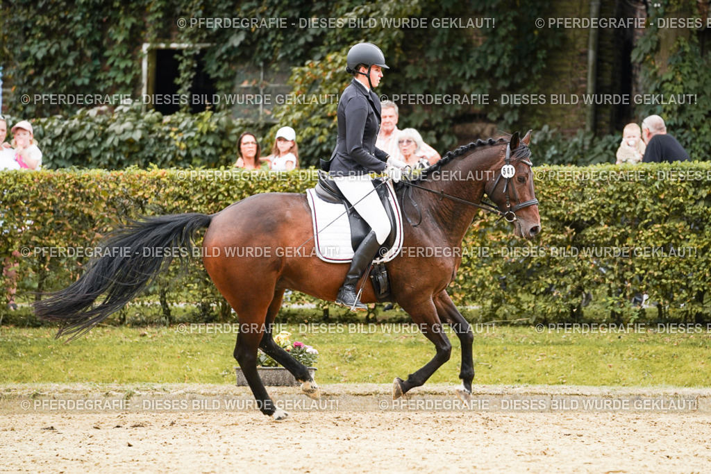 DSC00202 | Pferdegrafie