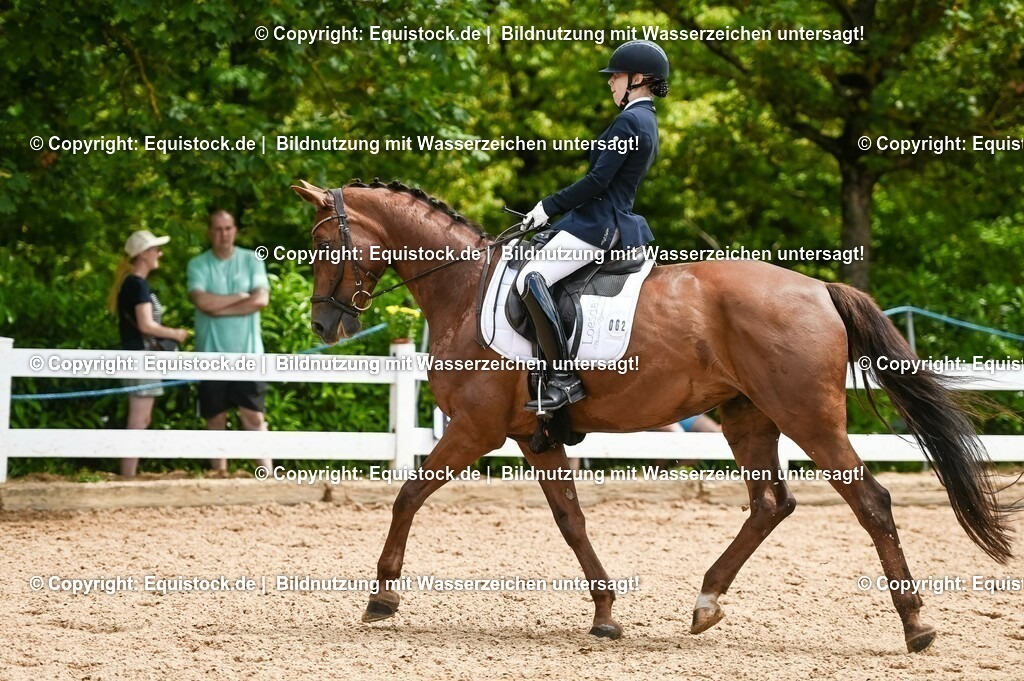 20230716_03_Dressurprfg. Kl.L - Tr._0388 | equistock