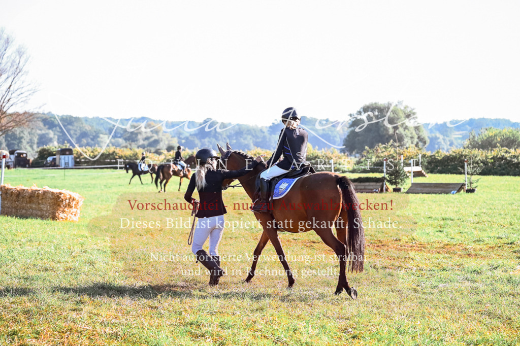 DSC_0207 | Pferde- und Turnierfotografie in Westsachsen. Pferdeportraits, Auftragszeichnungen und intuitive Kunst.