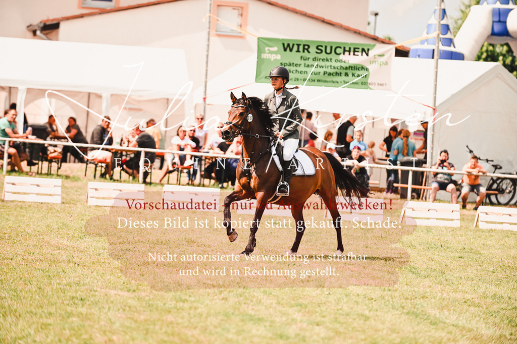 DSC_6913 | Pferde- und Turnierfotografie in Westsachsen. Pferdeportraits, Auftragszeichnungen und intuitive Kunst.