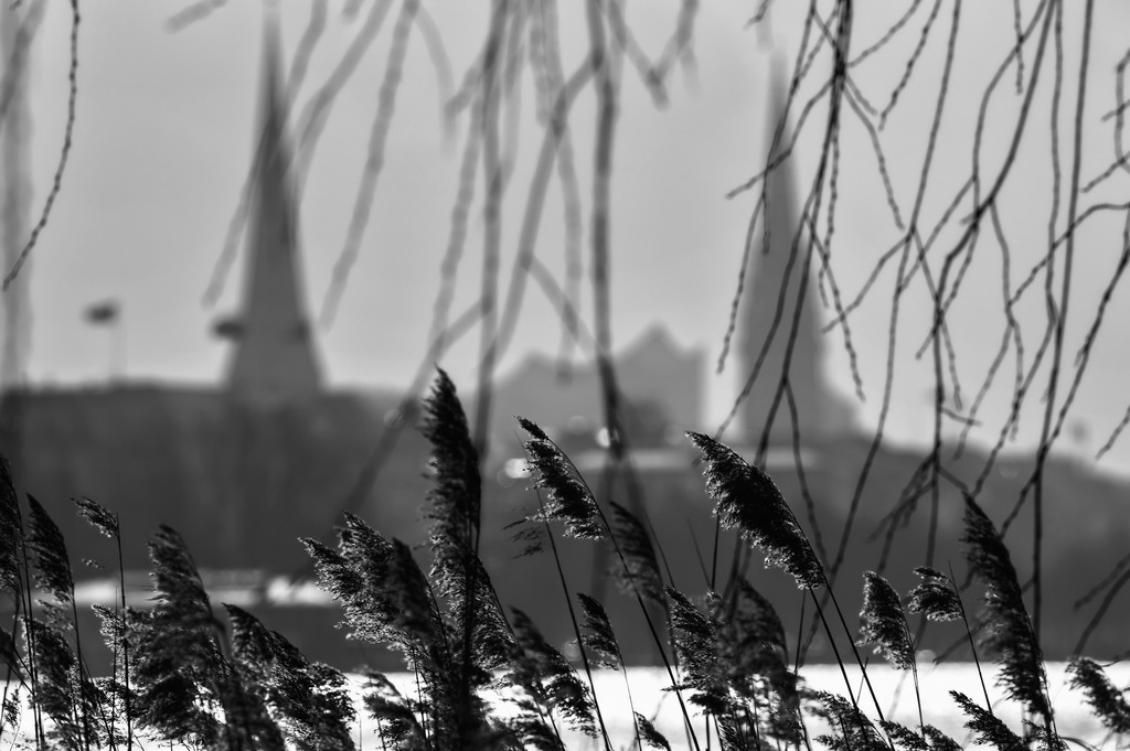2025_03_03_HH-ALSTER_MCP6190 sw | Hochwertig gedruckte Fotografien für die Wand, als Kalender und zum Verschenken. Hamburg & Norddeutschland und überall wo ich mit der Kamera unterwegs war.
