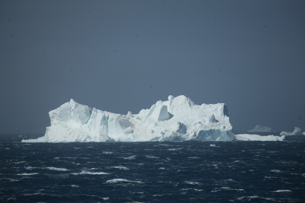 IMG_8537 | Antarktis / Antarctica - Realisiert mit Pictrs.com