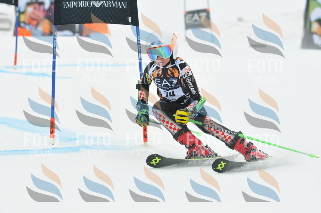 DSC_7872 | holidayphoto