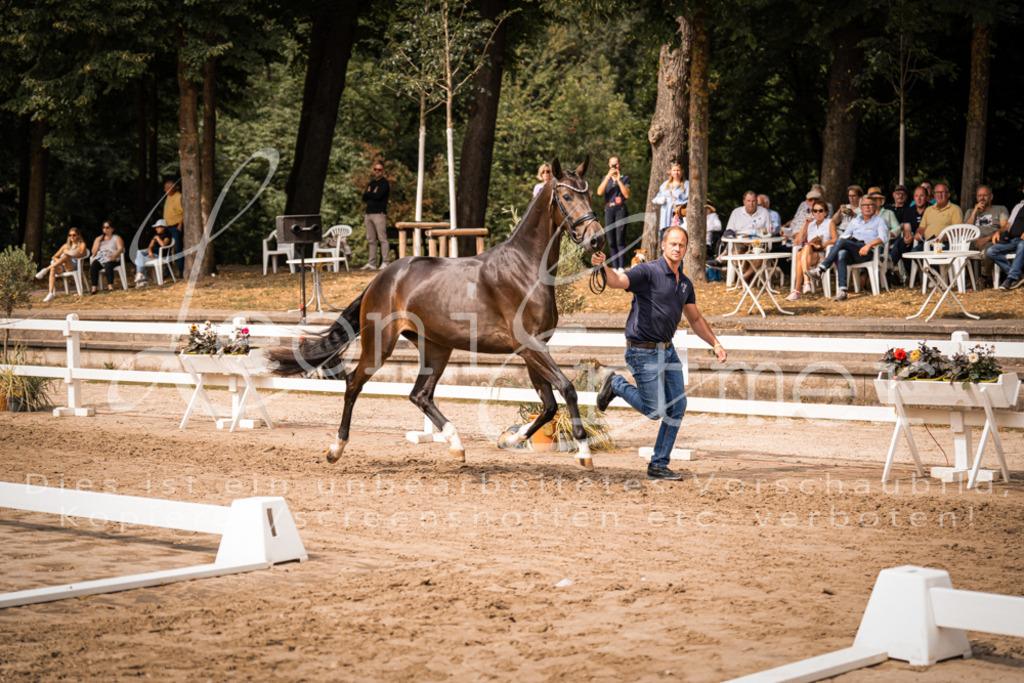 6.Fr00069 | Leoni Ertmer Photography - Realisiert mit Pictrs.com