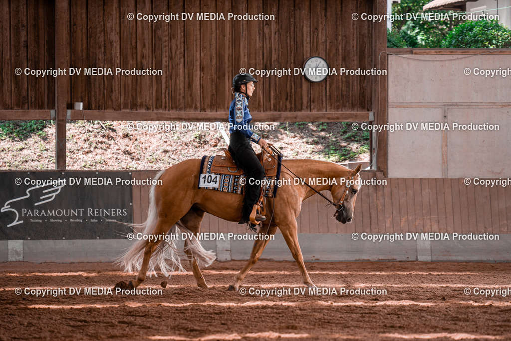 NE100433 | dv-media-shop - Realisiert mit Pictrs.com