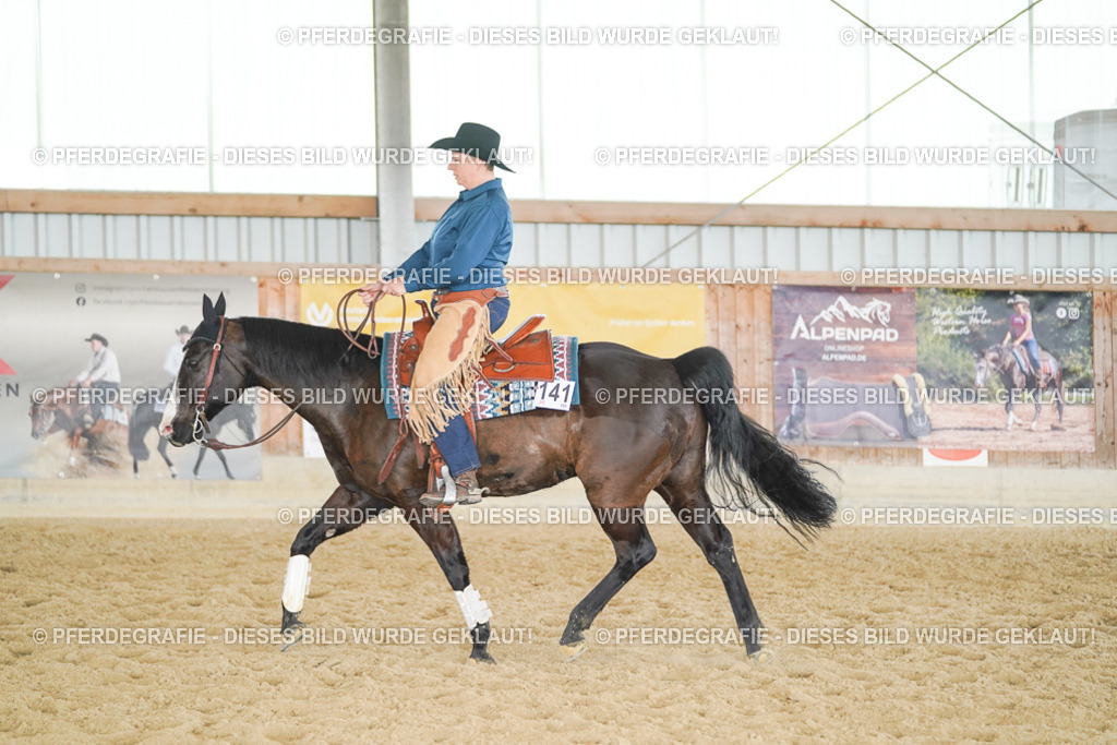 DSC01642 | Pferdegrafie