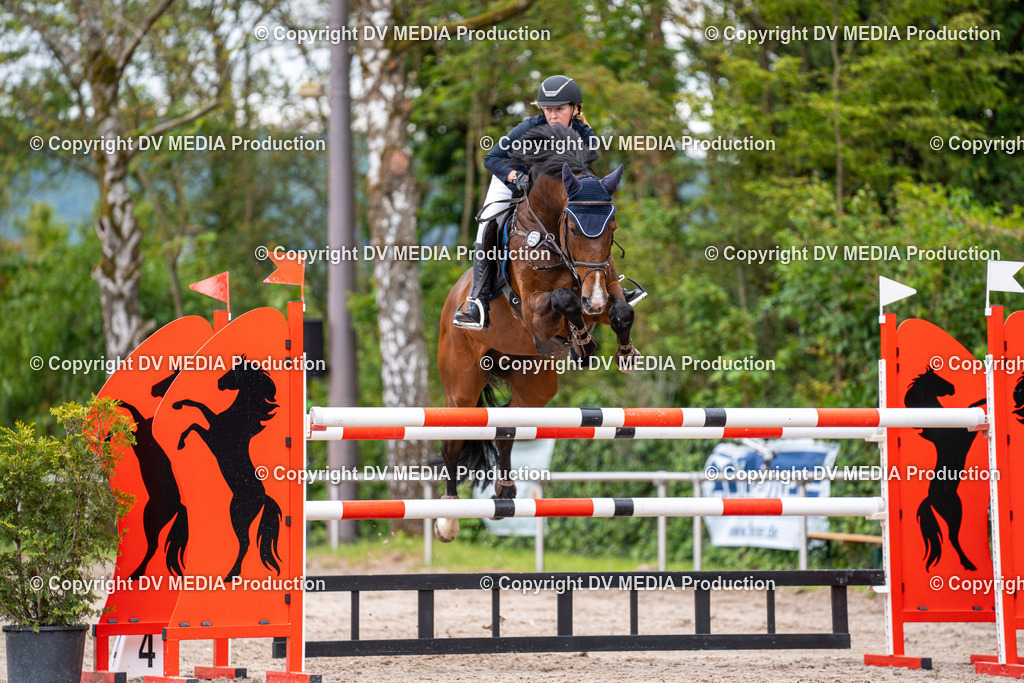 Eppelheim Tag 1-241 | dv-media-shop - Realisiert mit Pictrs.com