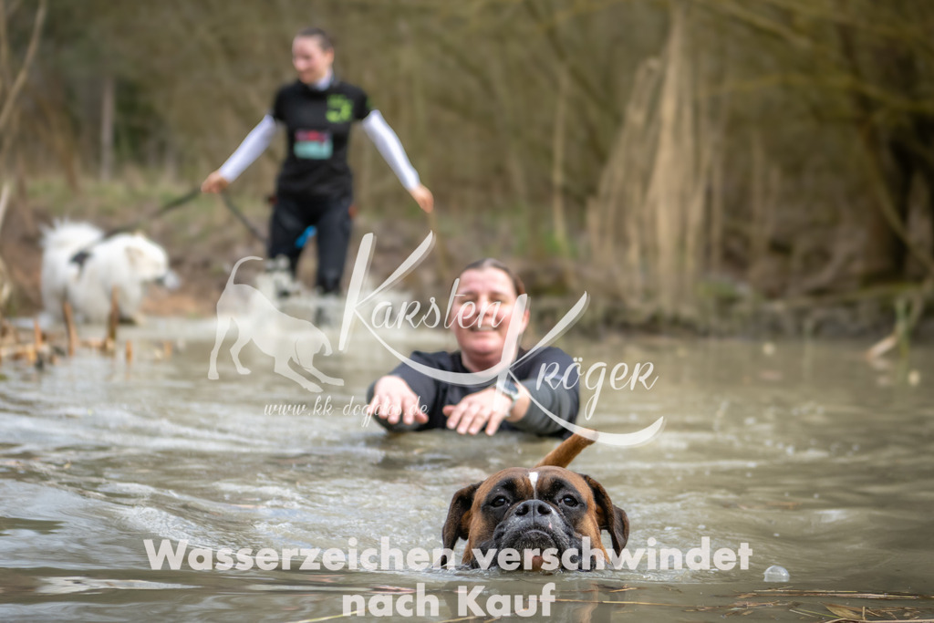 1557_ZZ94848 | kk-dogfotos