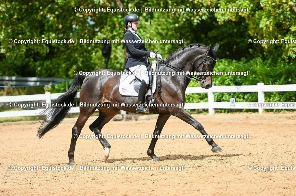 20230716_01_Dressurprüfung Kl.M_0135 | equistock