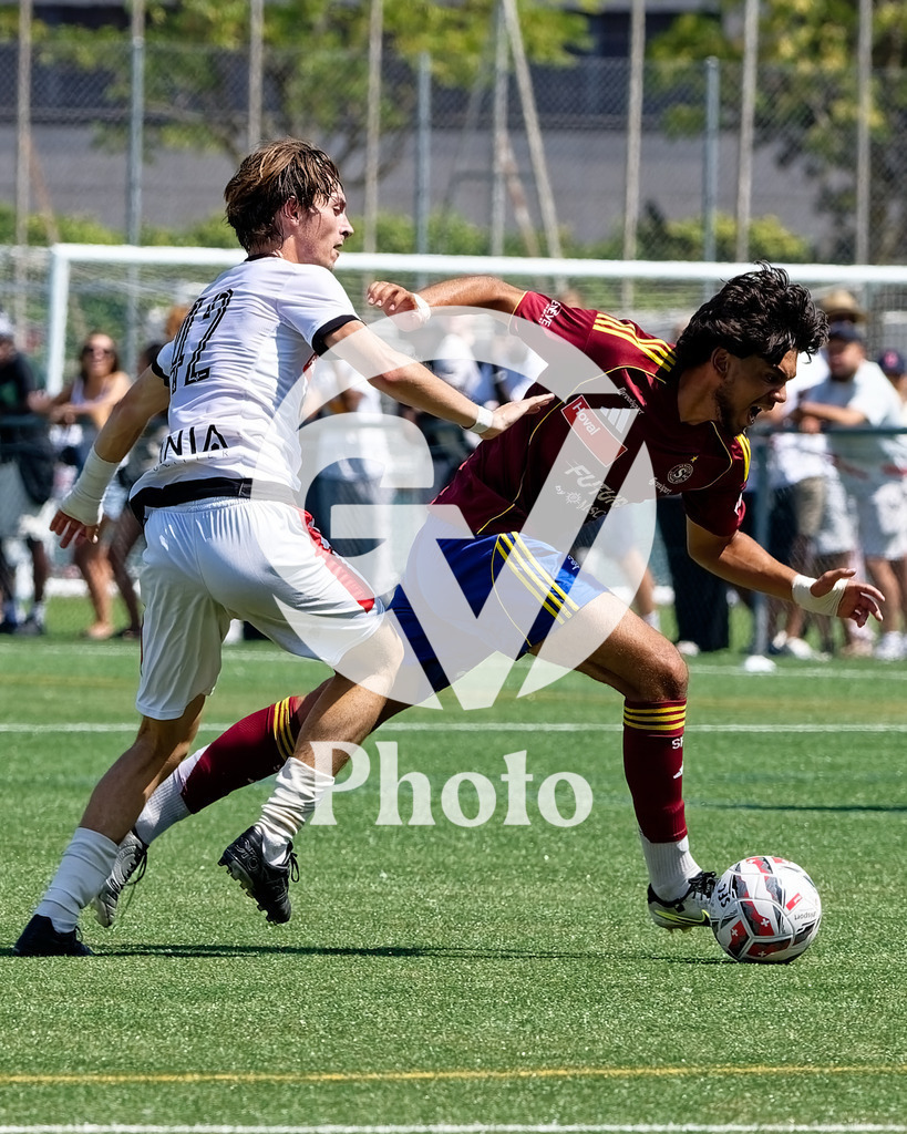 001_DZ8_1520 | Velletri Photo