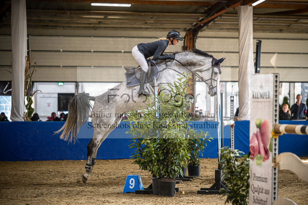 DOS_0536 | Entdecke hochwertige Reitturnierfotos von Foto Oger. Professionell, emotional und authentisch – jetzt Lieblingsmomente im Shop bestellen.Deutschlandweite Turnierfotografie. - Realisiert mit Pictrs.com
