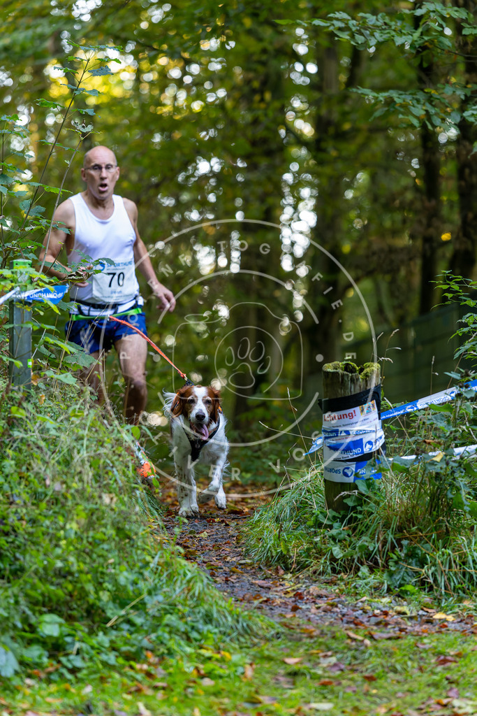 Pfotenfotografie_DV3A7339 | Hundefotografie, Tierfotograf, Pfotenfotografie, Fotoshooting Hund, Hunde Portrait, Hundesport, Hundeportraits, Heideshooting, Hunde, Sportfotograf, Hundefotograf, Turnierhundsport, THS,  - Realisiert mit Pictrs.com