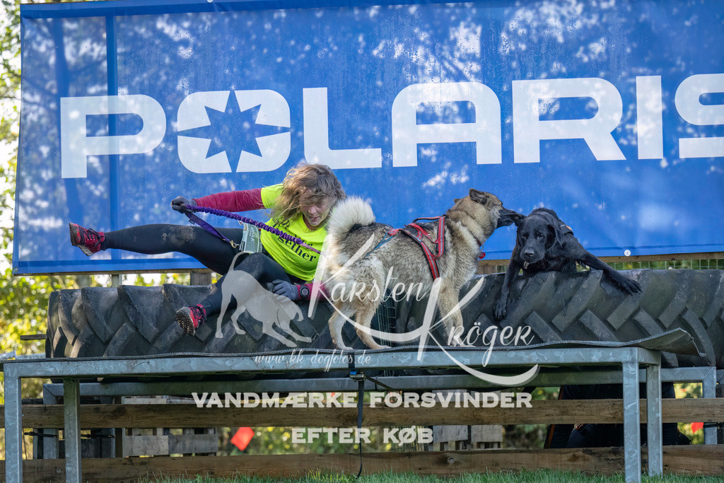 1044--4 | kk-dogfotos