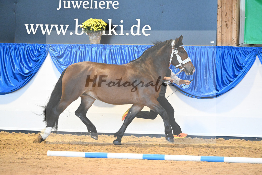 Kat-Nr. 52 Jette_Engelhard_53220096 | hf-fotografie - Realisiert mit Pictrs.com
