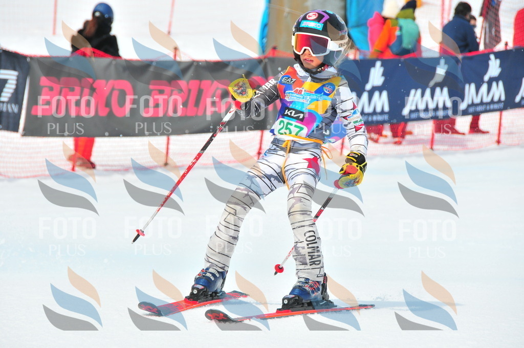 DSC_2393 | holidayphoto