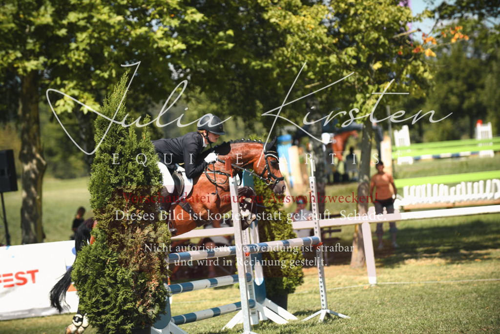 DSC_6805 | Pferde- und Turnierfotografie in Westsachsen. Pferdeportraits, Auftragszeichnungen und intuitive Kunst.