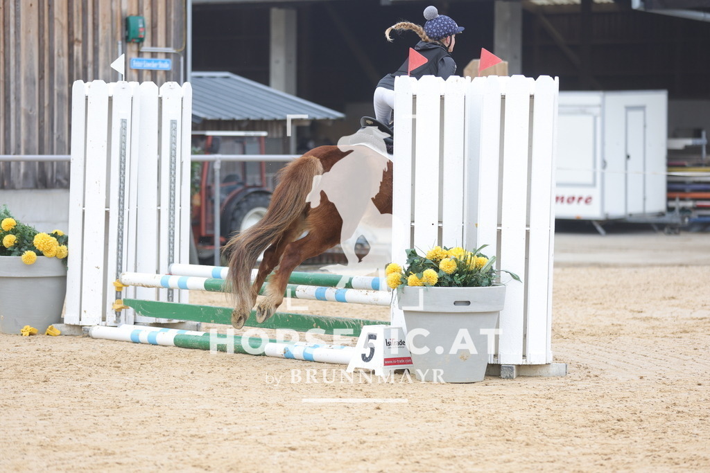 0P6A8641 | Willkommen bei Brunnmayr - Design & Fotografie – Ihrem Spezialisten für Reitturniere und Pferdeveranstaltungen in Oberösterreich, Salzburg und Bayern! Seit über 17 Jahren sind wir leidenschaftlich dabei.