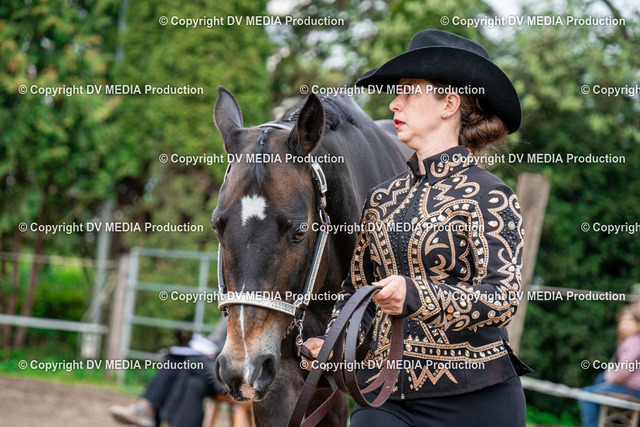 BA300209 | dv-media-shop - Realisiert mit Pictrs.com