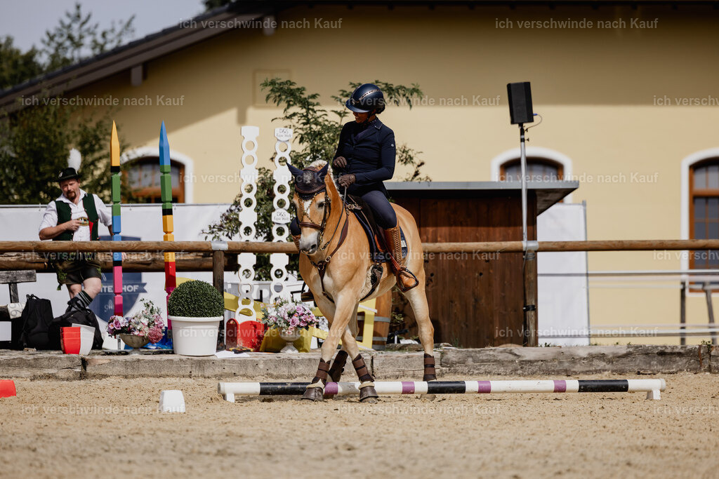 Tanesha5FHC2025-20145 | working equitationturnier fotograf videograf stoibphotography marixx film working equitation deutschland reitsport turnierfotografie eventfotografie equestrian events