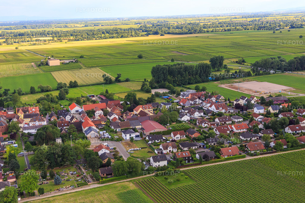 Luftbild: Mandelbergstr im Ortsteil Duttweiler in Neustadt im Bundesland Rheinland-Pfalz in Deutschland. Foto: IMG_090096.jpg vom 26.06.2016 durch Werner Riehm/FLY-FOTO.de