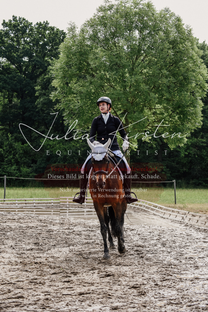 DSC_9882 | Pferde- und Turnierfotografie in Westsachsen. Pferdeportraits, Auftragszeichnungen und intuitive Kunst.