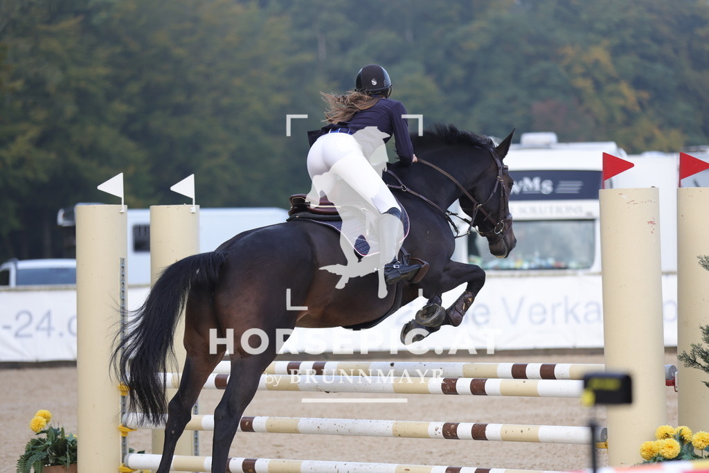 0P6A0991 | Willkommen bei Brunnmayr - Design & Fotografie – Ihrem Spezialisten für Reitturniere und Pferdeveranstaltungen in Oberösterreich, Salzburg und Bayern! Seit über 17 Jahren sind wir leidenschaftlich dabei.